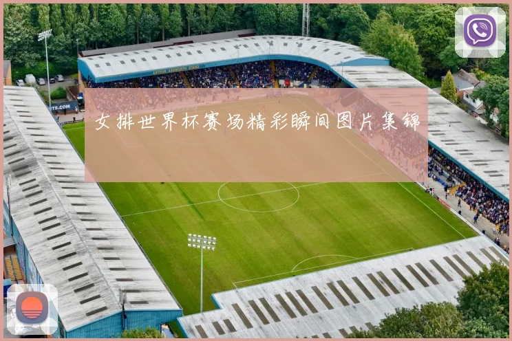 女排世界杯赛场精彩瞬间图片集锦