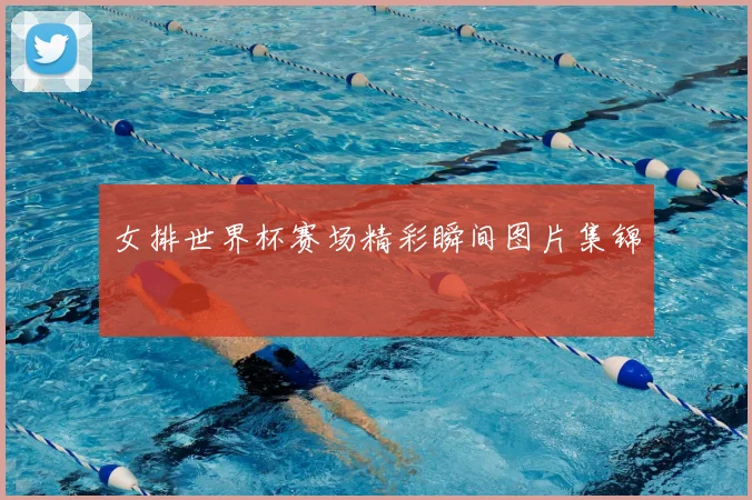 女排世界杯赛场精彩瞬间图片集锦